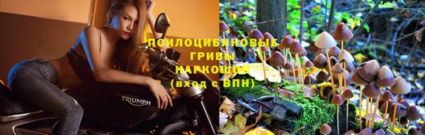 бутик Магас