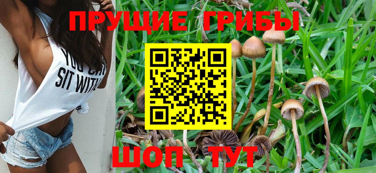 Троицк  Псилоцибиновые грибы Magic Shrooms  Вход с VPN 